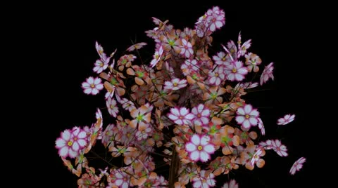 Spring Time 04 Stock Footage 11241593