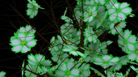 Spring Time 05 Stock Footage 11241596