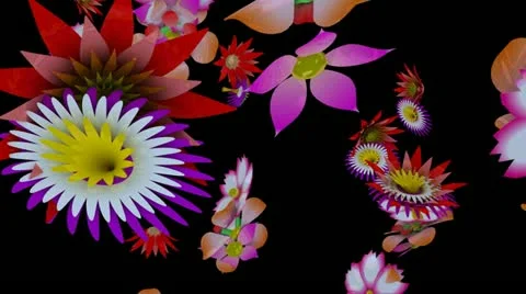 Spring Time 07 動画素材 11241599