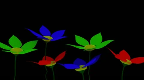 Spring Time 14 Stock Footage 11241634