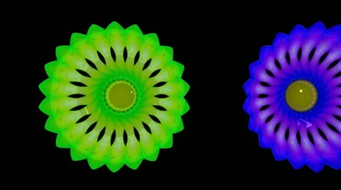 Spring Time 15 Stock Footage 11241594