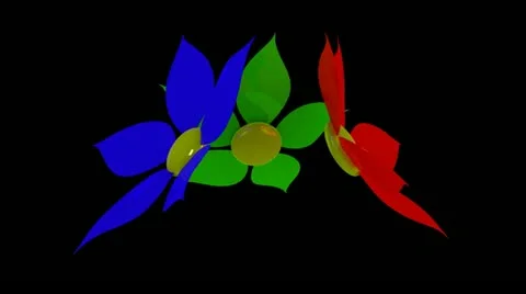 Spring Time 21 Stock Footage 11241611