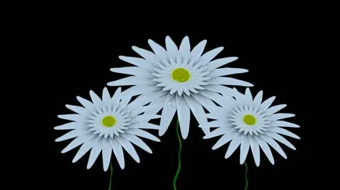 Spring Time 23 Stock Footage 11241632