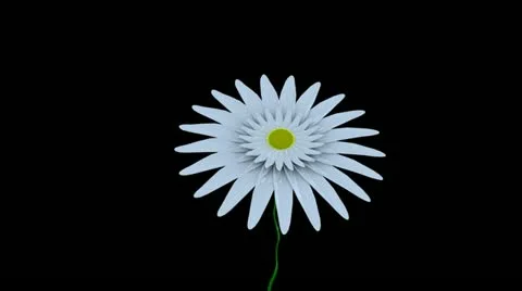 Spring Time 25 Stock Footage 11241639