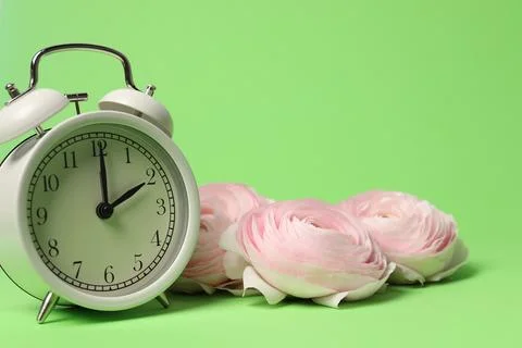 Spring time. Alarm clock and beautiful ranunculus flowers on green backgrou.. Foto stock