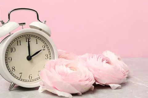 Spring time. Alarm clock and beautiful ranunculus flowers on grey marble ta.. Stock Photos