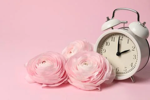 Spring time. Alarm clock and beautiful ranunculus flowers on pink background 写真素材