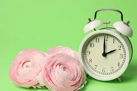 Spring time. Alarm clock and beautiful ranunculus flowers on green backgrou.. Stock Photos