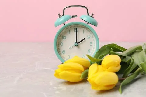 Spring time. Alarm clock and beautiful tulips on grey marble table against .. Stock Photos