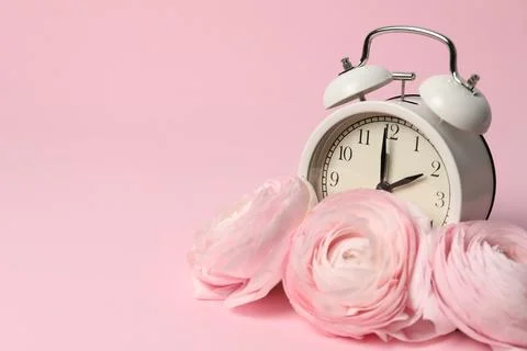 Spring time. Alarm clock and beautiful ranunculus flowers on pink backgroun.. 스톡 사진