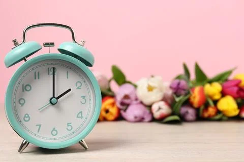 Spring time. Alarm clock and beautiful tulips on wooden table against pink .. Stock Photos