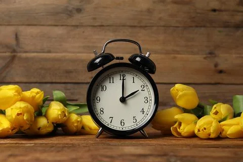 Spring time. Alarm clock and beautiful tulips on wooden table Stock Photos