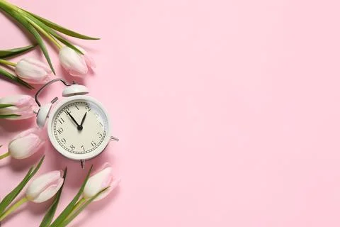 Spring time. Alarm clock and beautiful tulips on pink background, flat lay... 写真素材