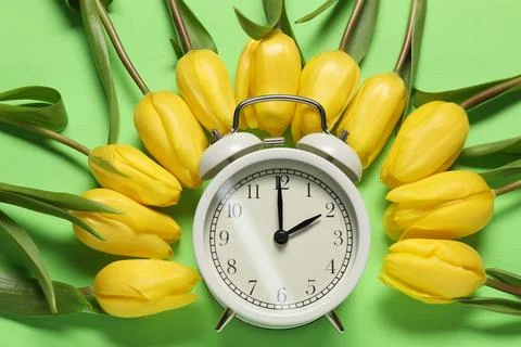 Spring time. Alarm clock and beautiful tulips on green background, flat lay Stock Photos