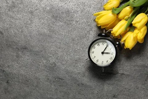 Spring time. Alarm clock and beautiful tulips on grey table, flat lay. Spac.. Stock Photos