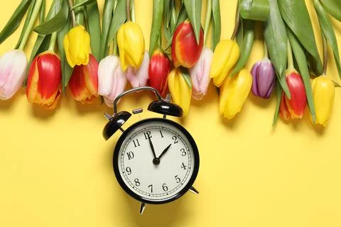 Spring time. Alarm clock and beautiful tulips on yellow background, flat lay Stock Photos