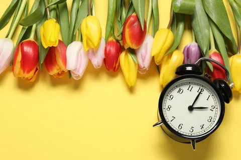 Spring time. Alarm clock and beautiful tulips on yellow background, flat la.. Stock Photos