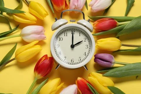Spring time. Alarm clock and beautiful tulips on yellow background, flat lay 스톡 사진