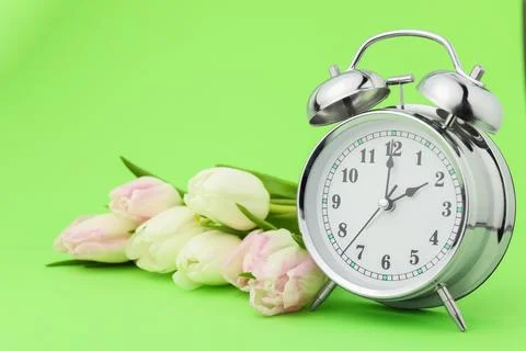Spring time. Alarm clock and beautiful tulips on green background Stock Photos