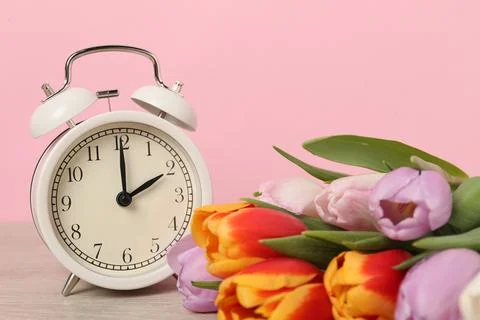 Spring time. Alarm clock and beautiful tulips on wooden table against pink .. 写真素材