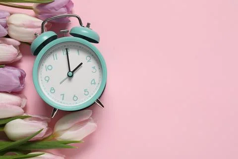 Spring time. Alarm clock and beautiful tulips on pink background, flat lay... Stock Photos