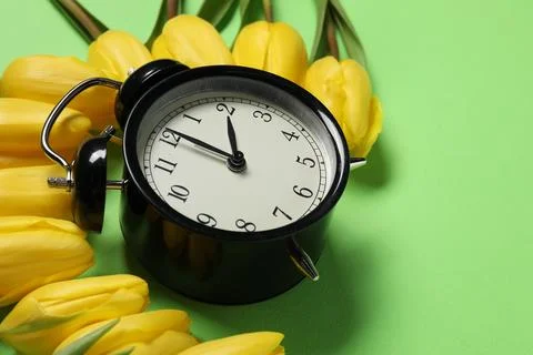 Spring time. Alarm clock and beautiful tulips on green background, closeup... 스톡 사진