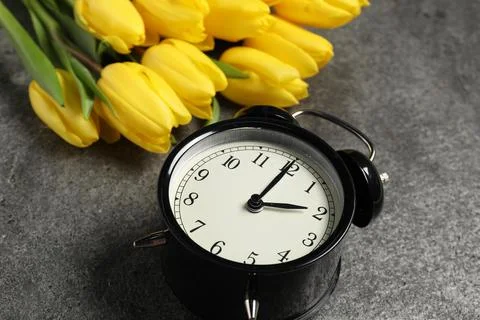 Spring time. Alarm clock and beautiful tulips on grey table, closeup 스톡 사진