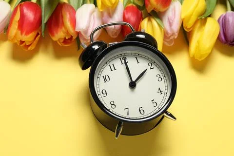 Spring time. Alarm clock and beautiful tulips on yellow background, above vie Stock Photos