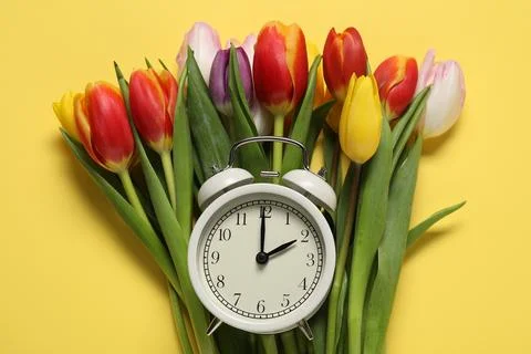 Spring time. Alarm clock and beautiful tulips on yellow background, flat lay Foto stock