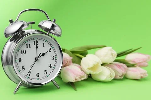 Spring time. Alarm clock and beautiful tulips on green background, closeup Foto stock