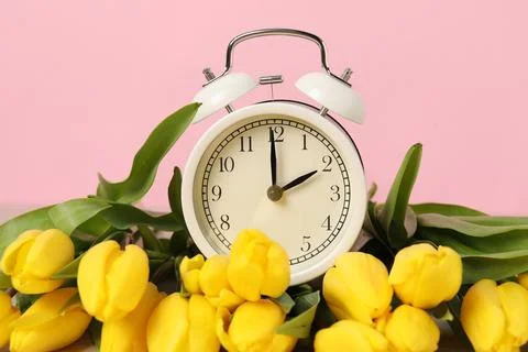 Spring time. Alarm clock and beautiful tulips against pink background, closeu 写真素材