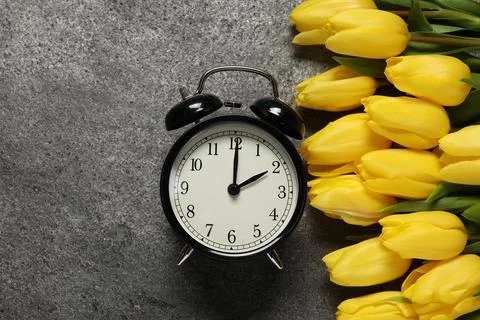 Spring time. Alarm clock and beautiful tulips on grey table, flat lay. Spac.. 스톡 사진