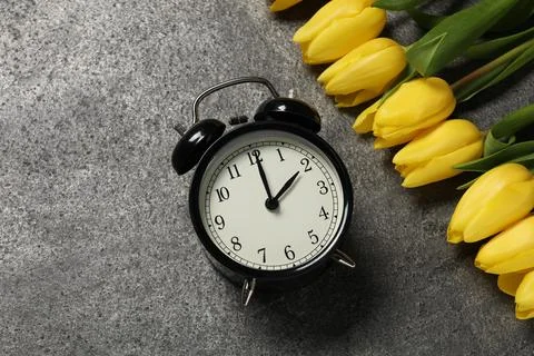 Spring time. Alarm clock and beautiful tulips on grey table, flat lay. Spac.. Foto stock