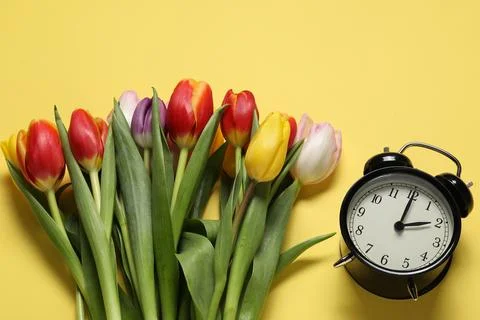 Spring time. Alarm clock and beautiful tulips on yellow background, above vie Foto stock