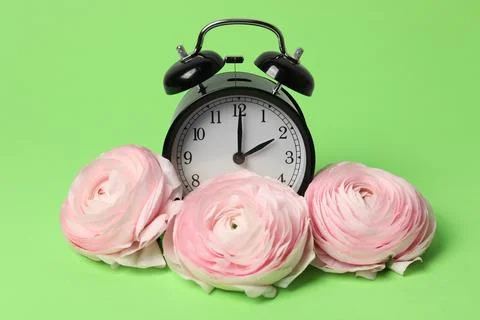 Spring time. Alarm clock and beautiful ranunculus flowers on green background Stock Photos