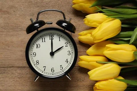 Spring time. Alarm clock and beautiful tulips on wooden table, flat lay Stock Photos