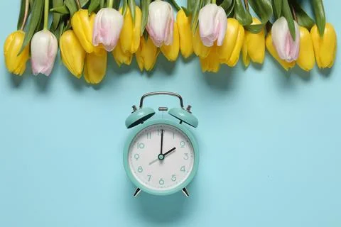 Spring time. Alarm clock and beautiful tulips on light blue background, fla.. Stock Photos