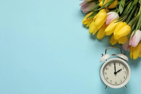 Spring time. Alarm clock and beautiful tulips on light blue background, fla.. Stock Photos