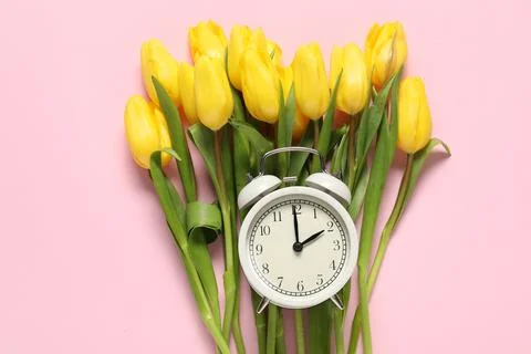 Spring time. Alarm clock and beautiful tulips on pink background, flat lay Stock Photos