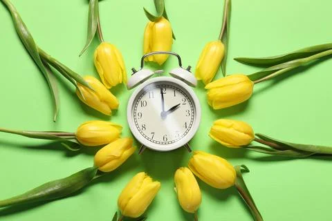 Spring time. Alarm clock and beautiful tulips on green background, flat lay Stock Photos