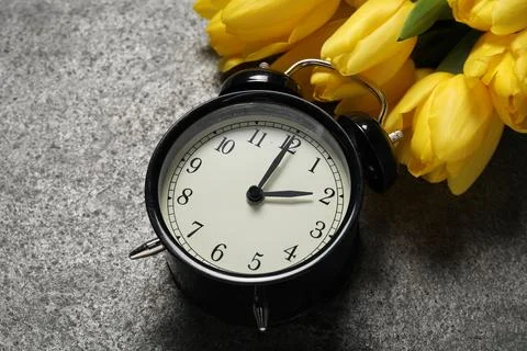 Spring time. Alarm clock and beautiful tulips on grey table, closeup Stock Photos