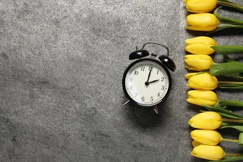 Spring time. Alarm clock and beautiful tulips on grey table, flat lay. Spac.. Foto stock