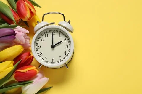 Spring time. Alarm clock and beautiful tulips on yellow background, flat la.. Foto stock