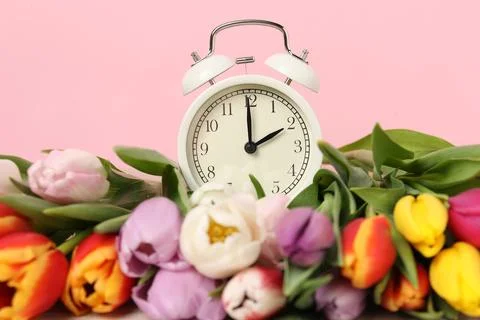 Spring time. Alarm clock and beautiful tulips against pink background, closeu Foto stock