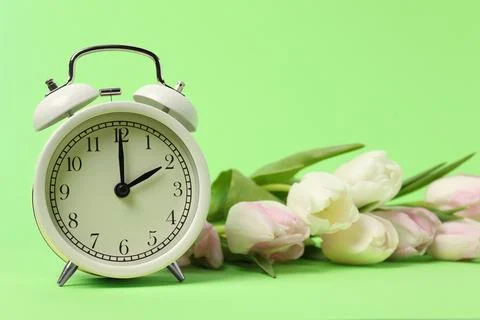 Spring time. Alarm clock and beautiful tulips on green background Stock Photos