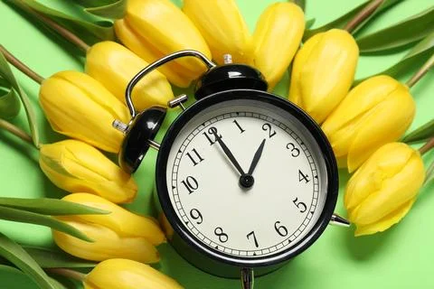 Spring time. Alarm clock and beautiful tulips on green background, above view Stock Photos