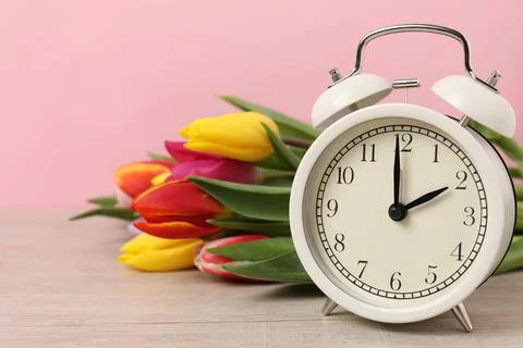 Spring time. Alarm clock and beautiful tulips on wooden table against pink .. Stock Photos