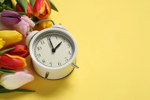 Spring time. Alarm clock and beautiful tulips on yellow background, above v.. Foto stock