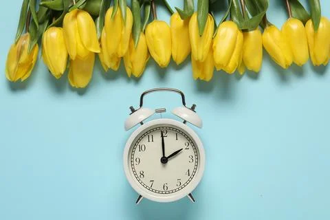 Spring time. Alarm clock and beautiful tulips on light blue background, fla.. Stock Photos