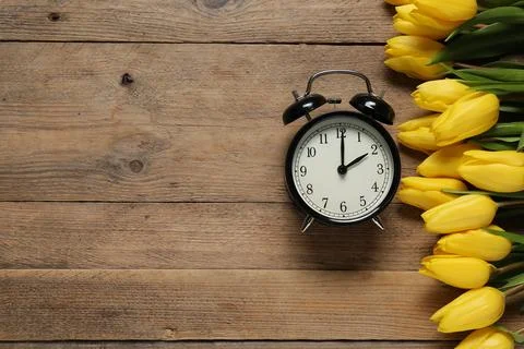 Spring time. Alarm clock and beautiful tulips on wooden table, flat lay. Sp.. Stock Photos